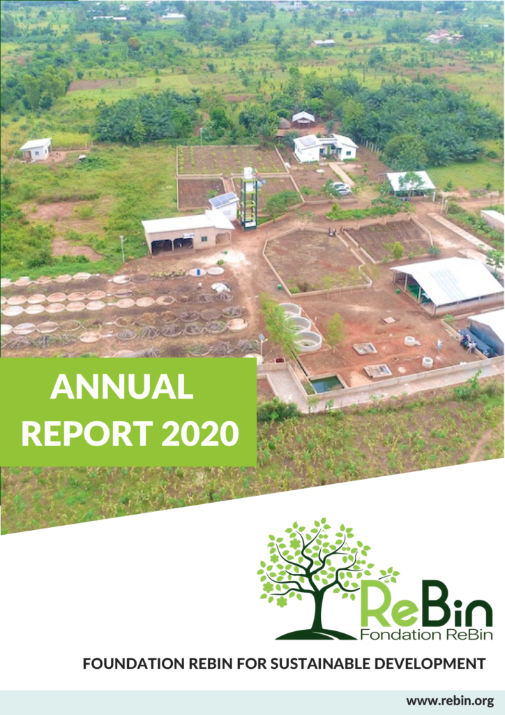 Our annual report 2020 is available